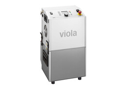 viola viola