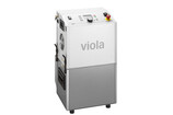 viola viola
